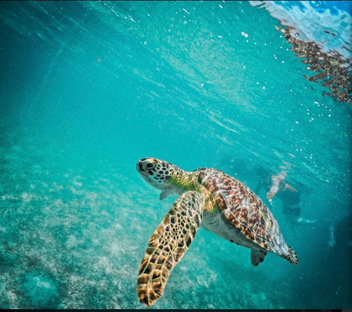Cancun trip
